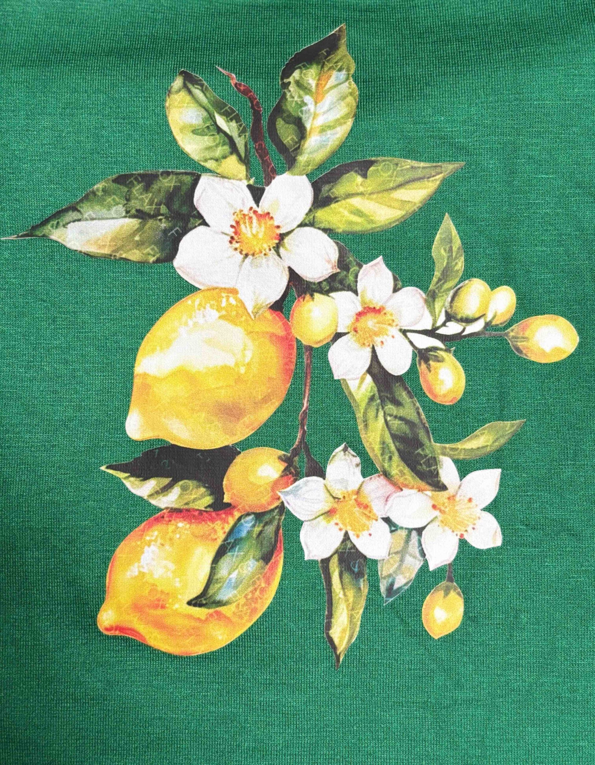 Girl's Zesty Bloom Crop Tee – Green Viscose - Image 7