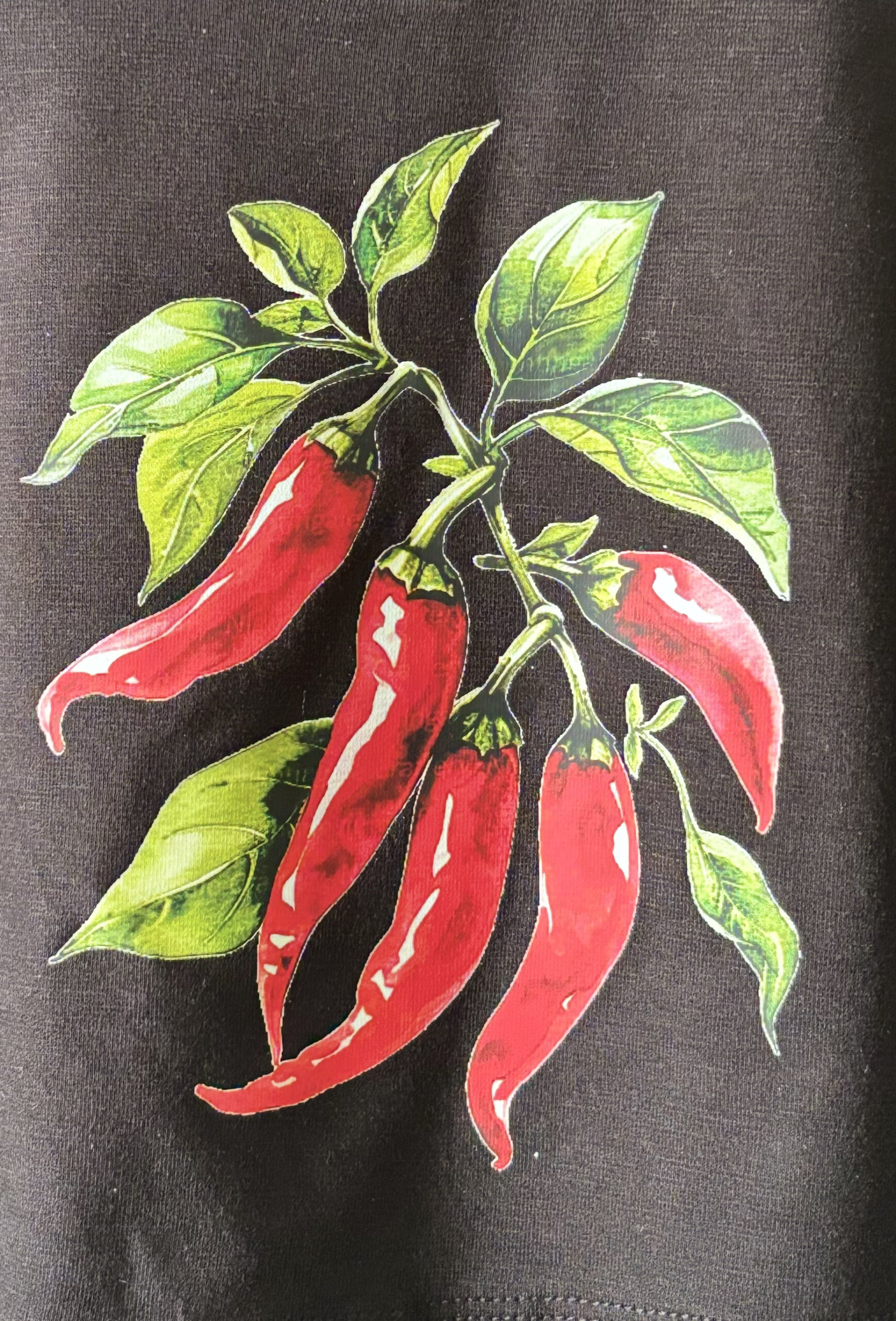 BaawRi Girl's Hot Chilli Crop Tee – Bold in Black - Image 7