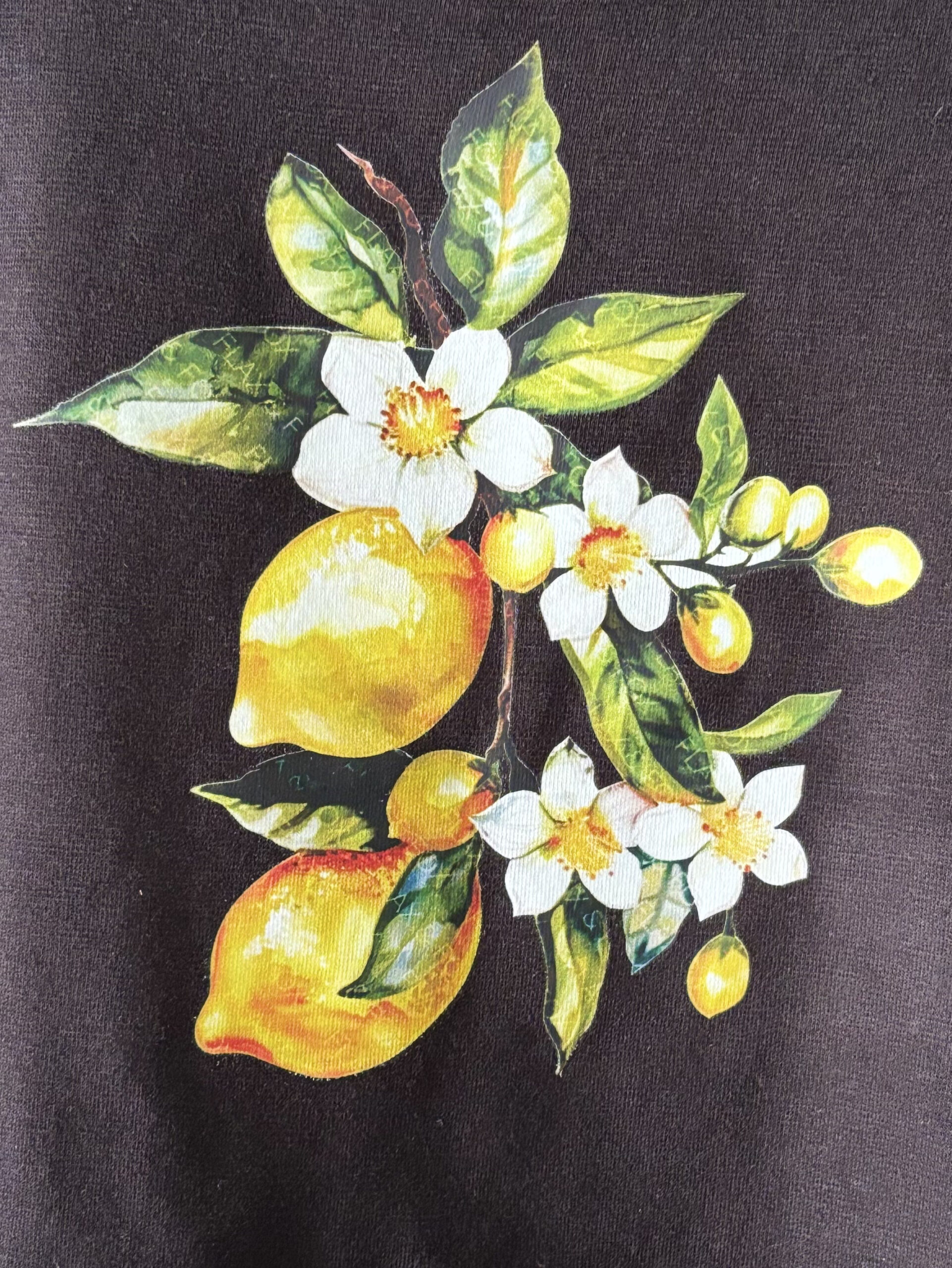 Girl's Black Viscose Crop T-Shirt with Lemon Blossom Print - Image 7