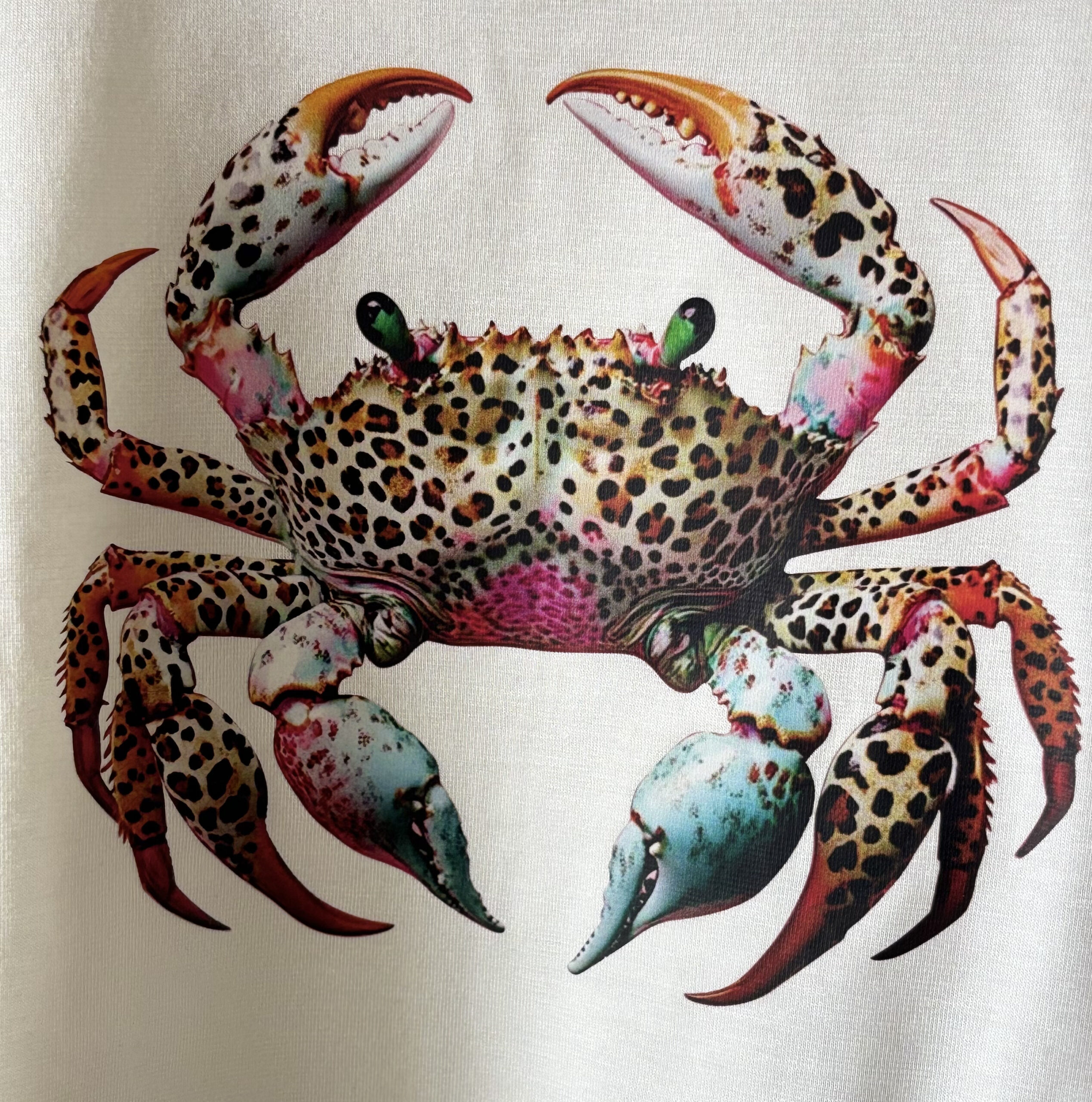BaawRi Girl's Crabby Chic Crop Tee – Viscos - Image 6